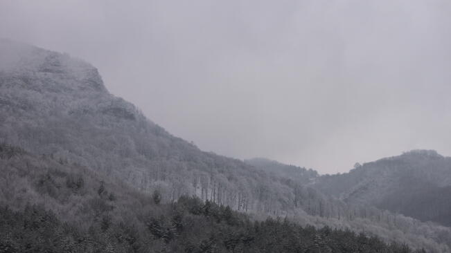 Времето днес ще е зимно
