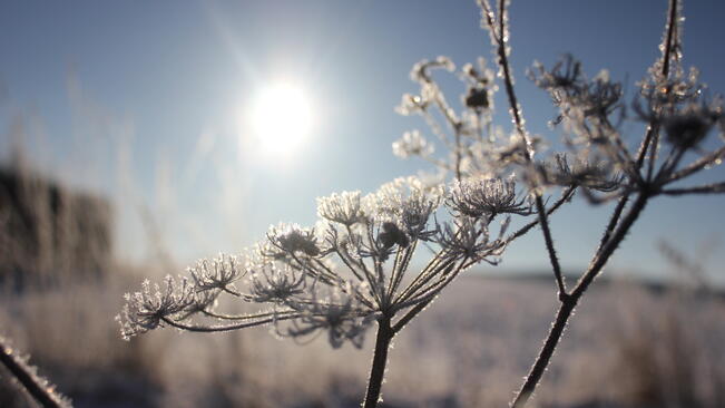 Топъл неделен ден