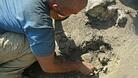 Изнасят резултати от разкопките в Червен
