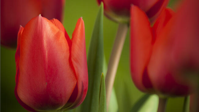 Времето през месец април
