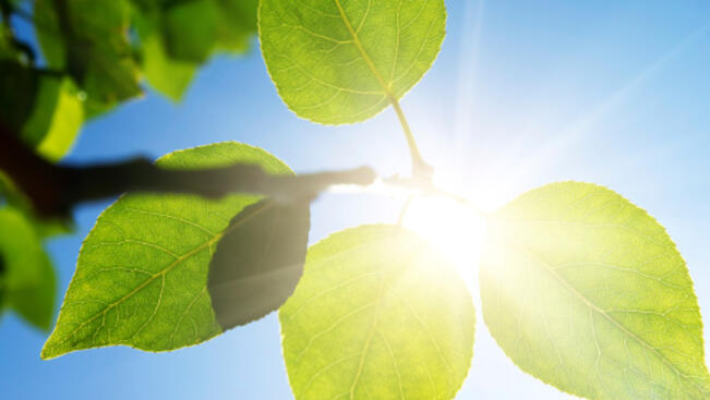 Слънчево време, със слаб вятър