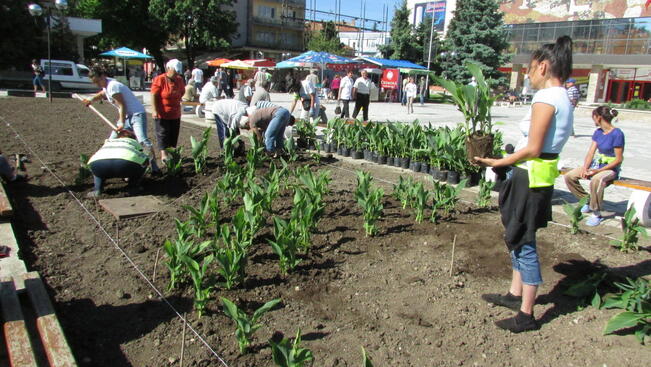 Зацветяват пролетно града