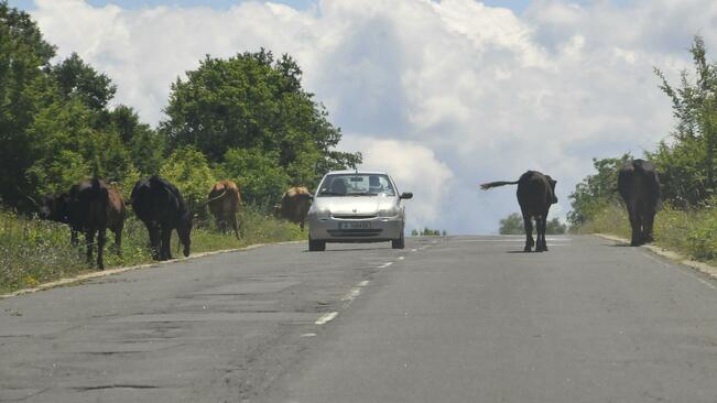 Пътната обстановка на 24 май