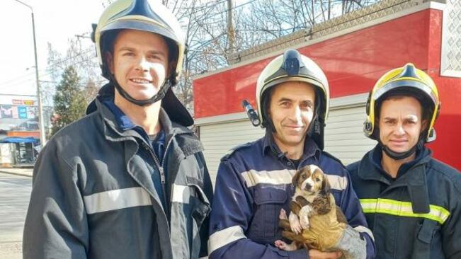 Старозагорски пожарникари спасиха кученце
