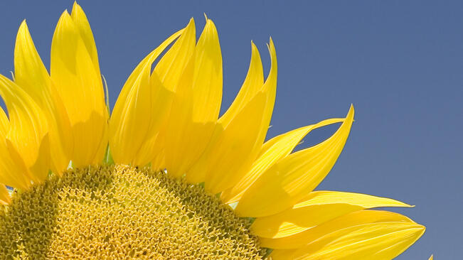 Какъв ще е юни?