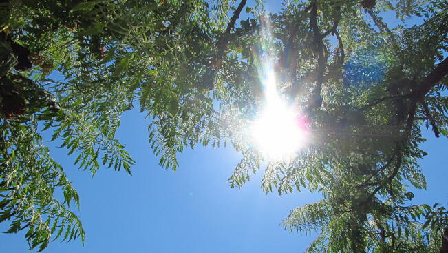 Повече слънце днес
