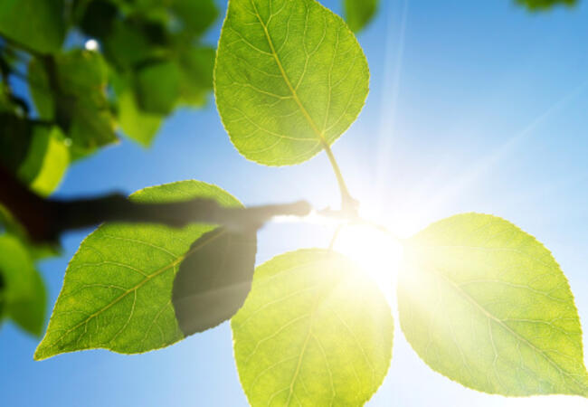 Прохлада - в планините