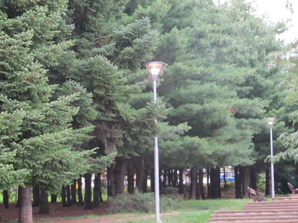 Лампи в парк светят и през деня
