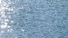 Мъж се удави в езерото "Липник"
