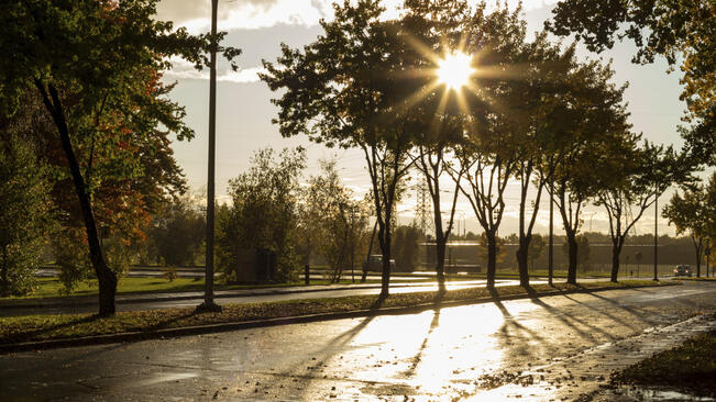 До 31 градуса, очакват се валежи